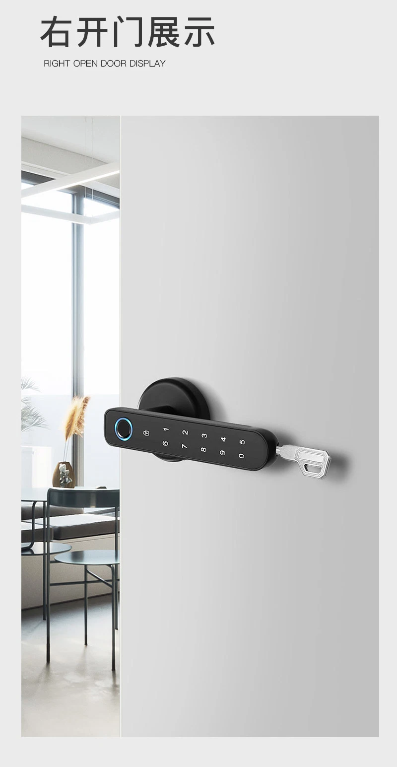 Residential Interior Room Smart Tuya Ttlock APP Fingerprint Knob Lock