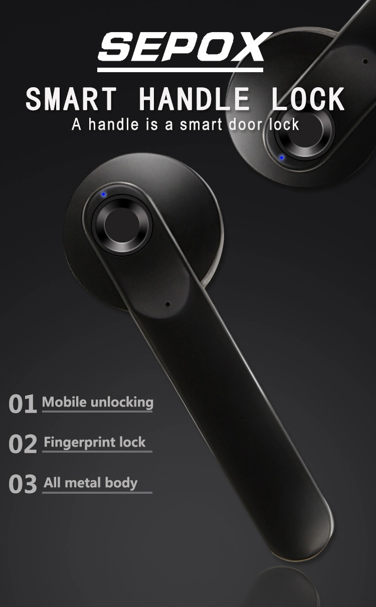 Smart Fingerprint Door Handle Electronic Drive Lock Easy Installation Door Lock (YDDL-0050)