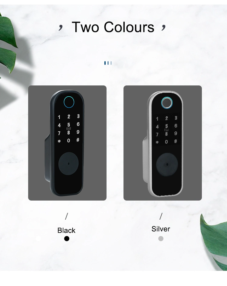 Home Apartment Tuya Tt Lock APP Smart Lock Waterproof Fingerprint Biometric Keypad Digital Door Lock