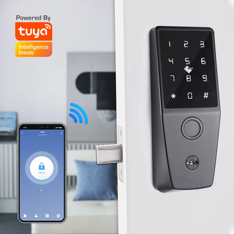 Digital Intelligent Deadbolt/ Smart Lock with Fingerprint and Mechanical Keyboard Avaiable