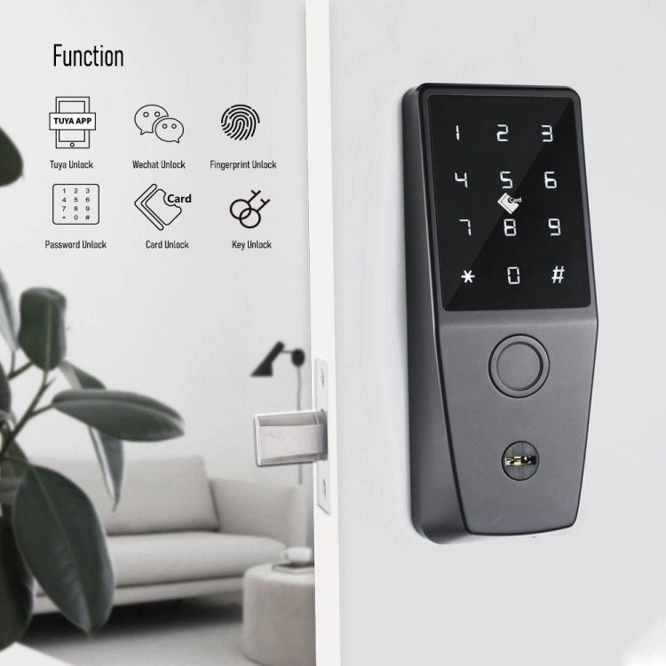 Digital Intelligent Deadbolt/ Smart Lock with Fingerprint and Mechanical Keyboard Avaiable