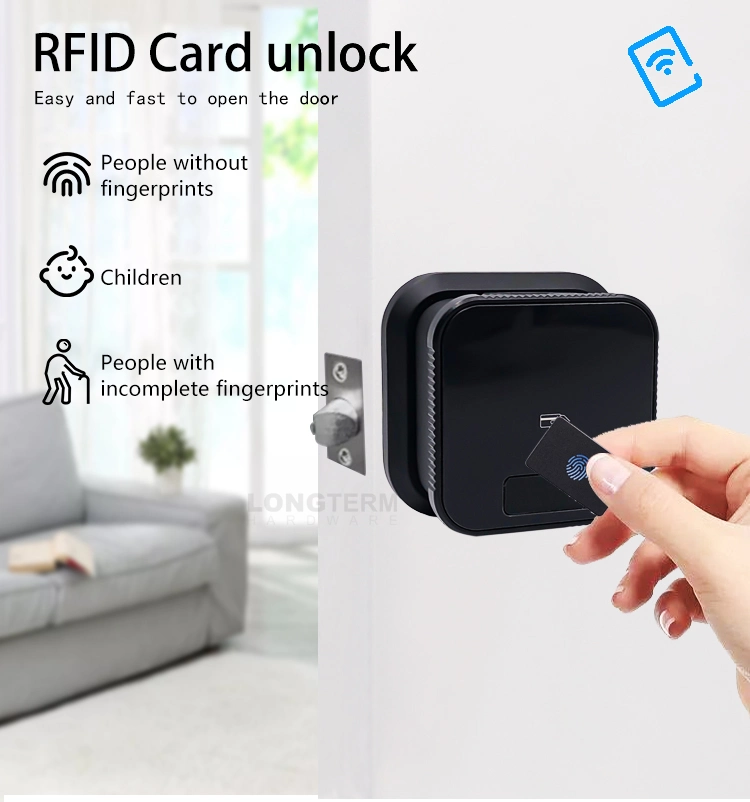 Password RFID Card Keyless Electric Digital WiFi Smart Door Lock Finger Print Door Lock Biometric Smart Lock Outdoor