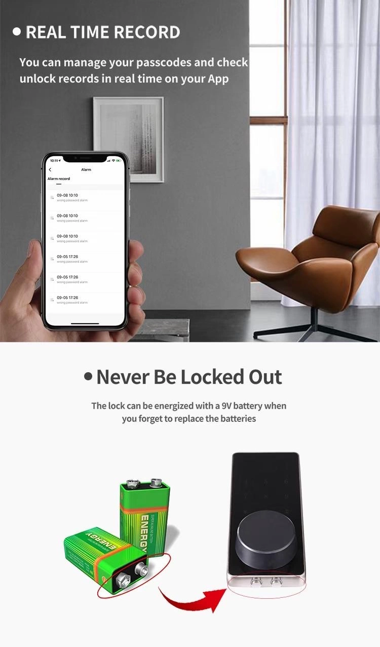 High Security Competitive Price Automatic Home Cellphone Electronic Locks Digital Electronic Lock Tuya Ttlock APP Smart Lock WiFi Smart Door Lock