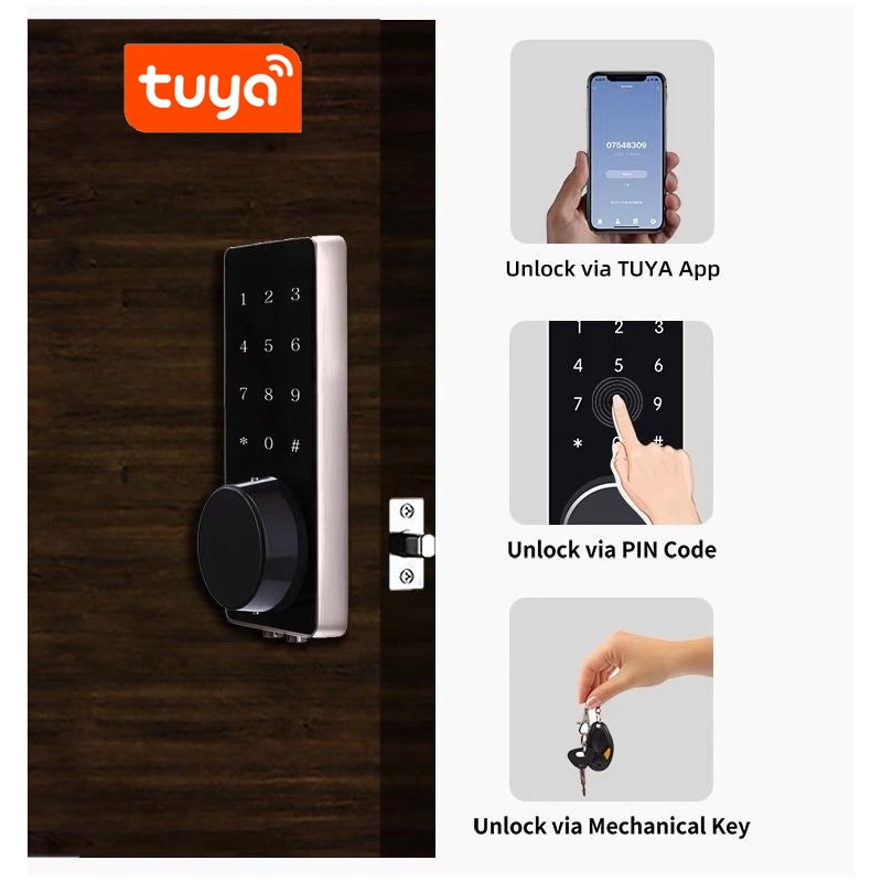 High Security Competitive Price Automatic Home Cellphone Electronic Locks Digital Electronic Lock Tuya Ttlock APP Smart Lock WiFi Smart Door Lock