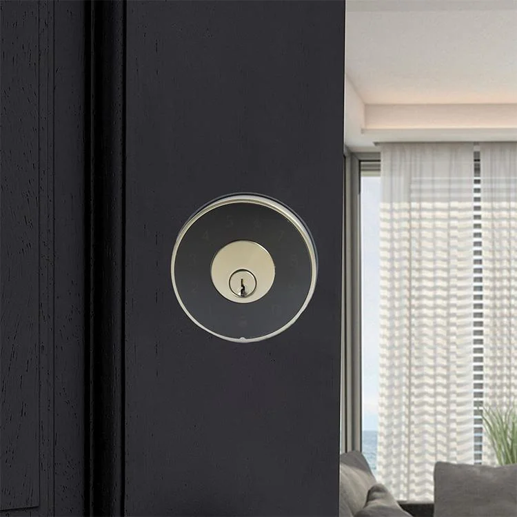 Security Digital Password Door Lock for Front Wooden Door