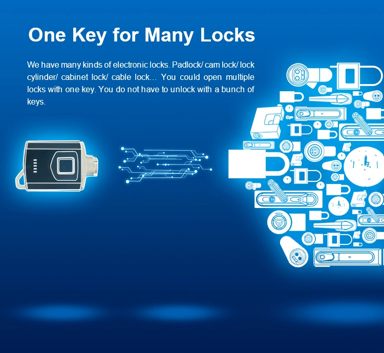 Smart Cam Lock on Office Cabinet or Doors Access Controlled by Software