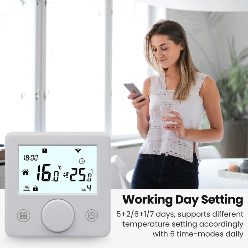 Smart Programmable WiFi Thermostat for Gas Boiler Underfloor Water Heating Controller Alexa Voice Kit