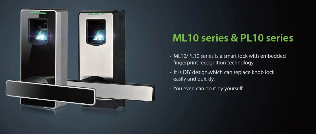 Cheap Biometric Fingerprint Smart Door Lock with Idle Handle Design (ML10)