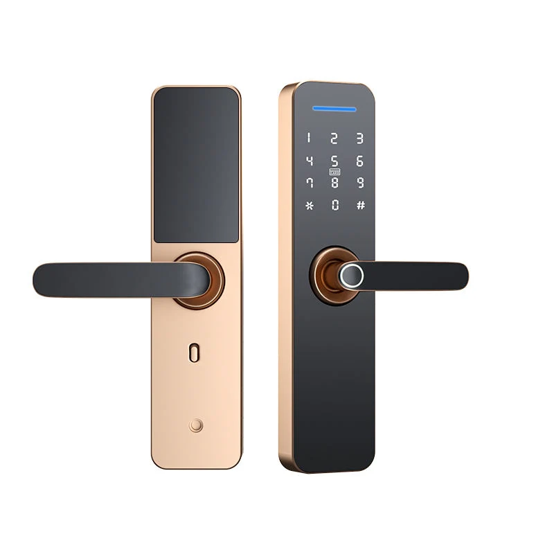 Smart Card Fingerprint Interior Wooden Doors Lock Home Office Round Ball Deadbolt Latch Fingerprint Smart Locks