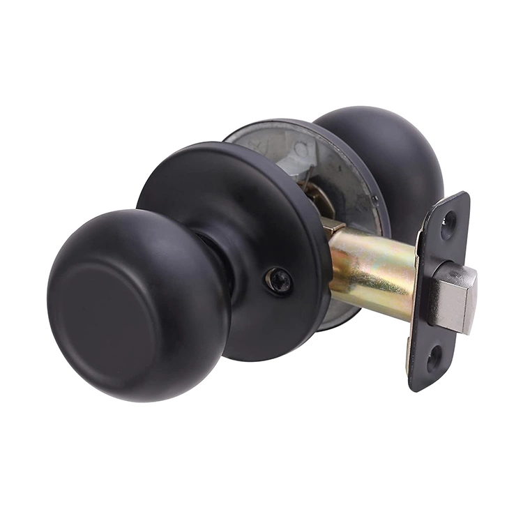 Passage Door Knob with Removable Latch Plate Keyless Interior Door Lock in Solid Stainless Steel for Hallway and Closet, No Locking, Standard Round Ball Handle