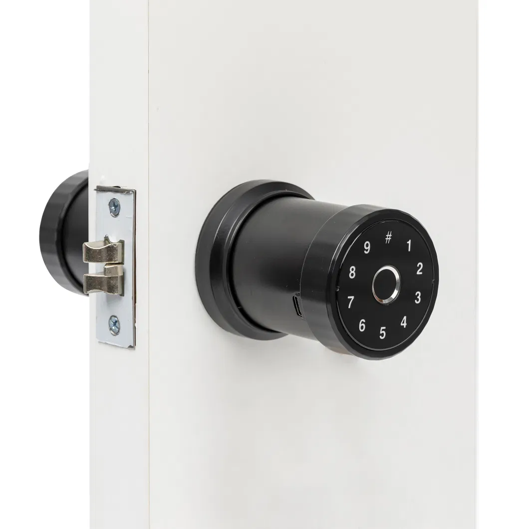 WiFi APP Bimetric Lock Fingerprint Door Knob