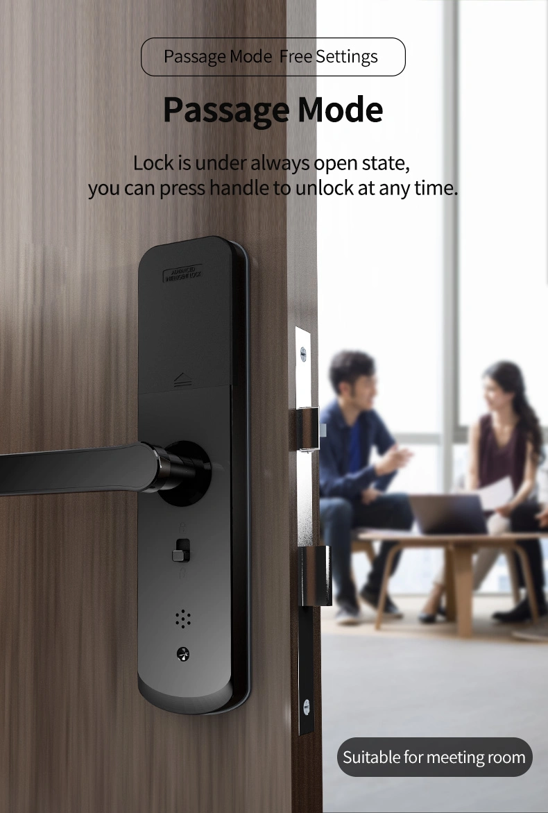 High End Password Electric Security WiFi Digital BLE Gate Smart Door Lock