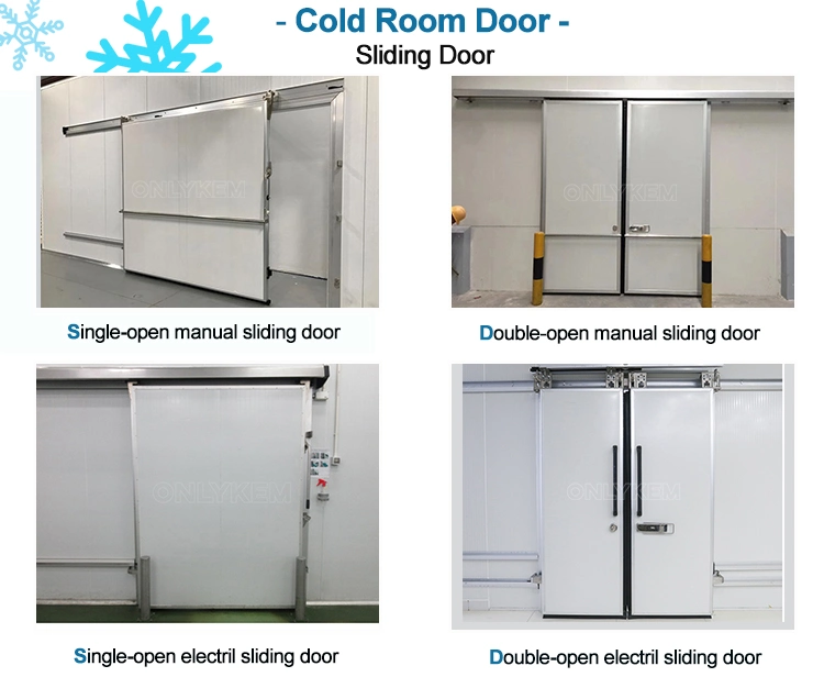 Hot Sale Cold Room Freezer Chiller Room Door