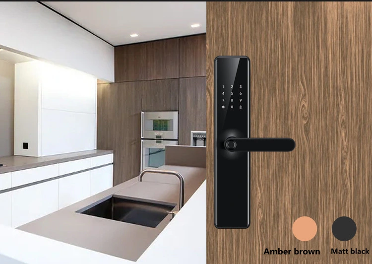 Tuya Smart Door Lock Digital Biometric RFID Fingerprint Outdoor Pull Push Keyless Door Locks