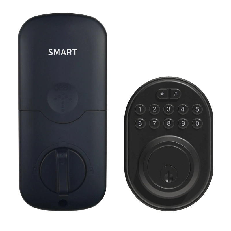 Tuya Black Color Smart Entrance Lock