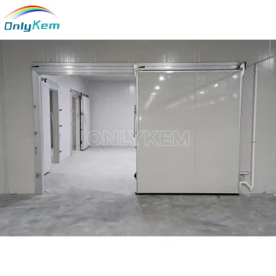 Горячая Продажа Холодная комната Freezer Chiller Room дверь