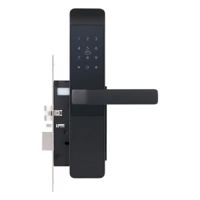 Home Smart Digital Code Electric TT Lock APP Card Password (Пароль карты ПРИЛОЖЕНИЯ блокировки TT) Механический ключ Smart Lock