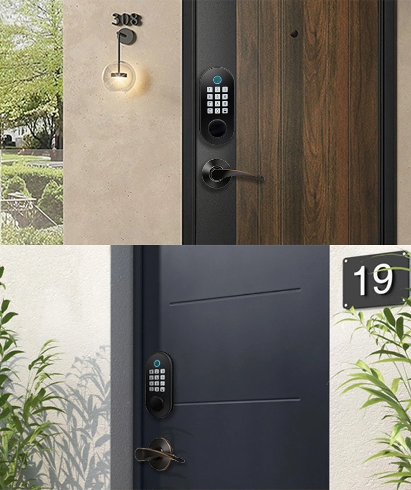 Remote Control Biometric Fingerprint Password Smart Door Lock