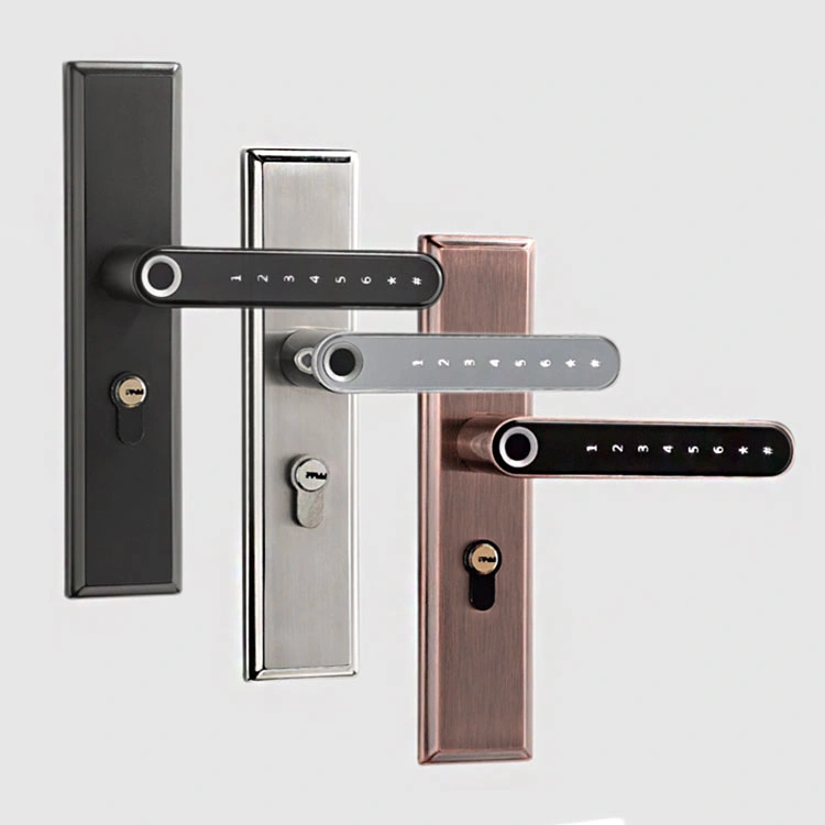 Biometrics Tt Lock APP Double Fingerprint Door Lock Smart Door Lock