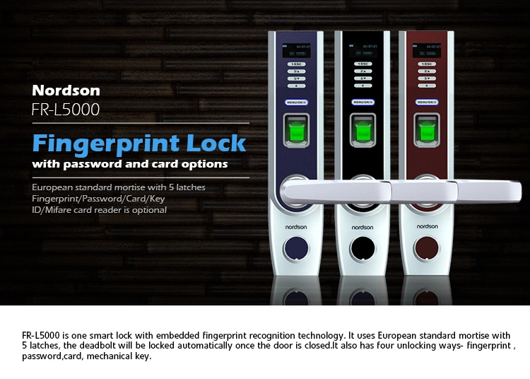 European Standard Mortise Keyless Door Lock Smart with Fingerprint Password Card