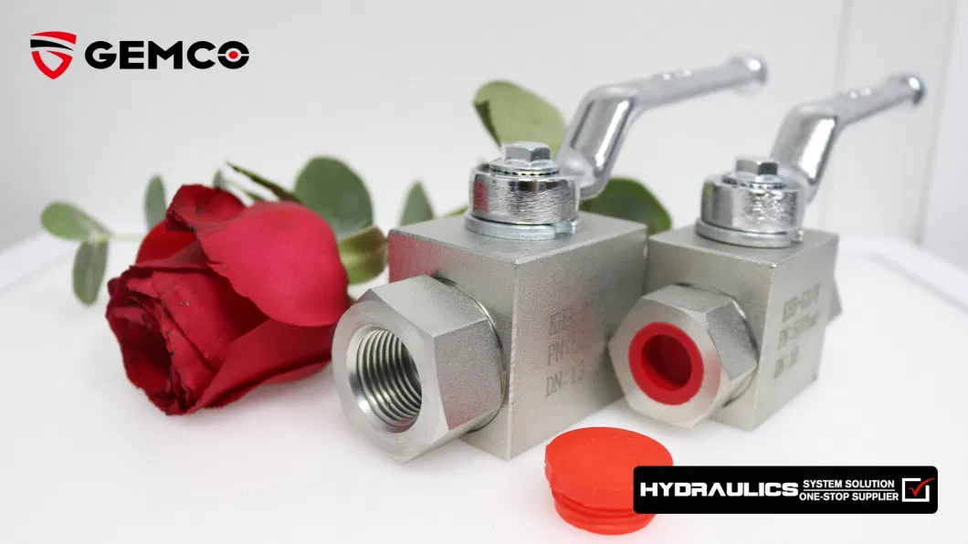 43 Series Stainless Steel Handle with Locking Internal Thread Ball Valve