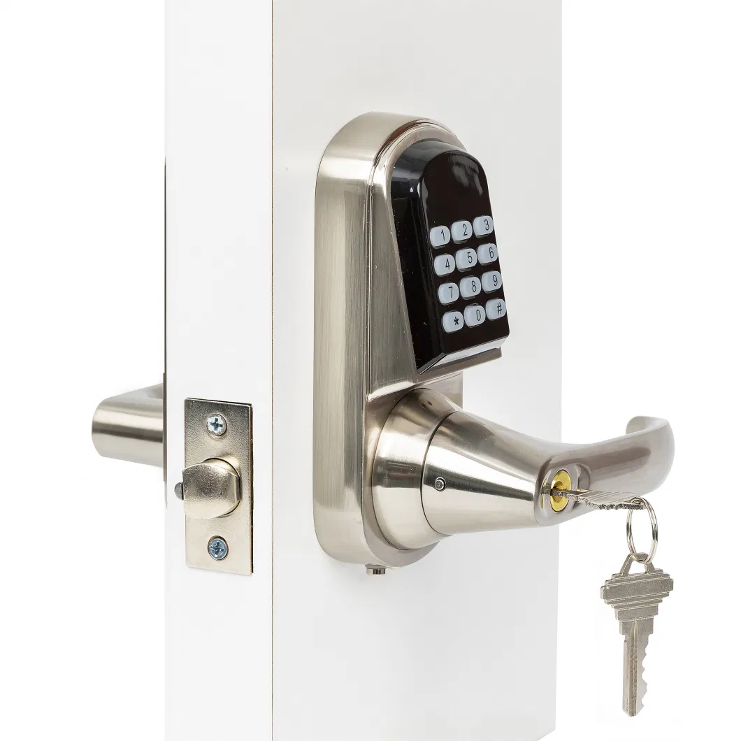 BLE Touch Screen Lever Handle Smart Electronic Digital Door Lock APP Lock