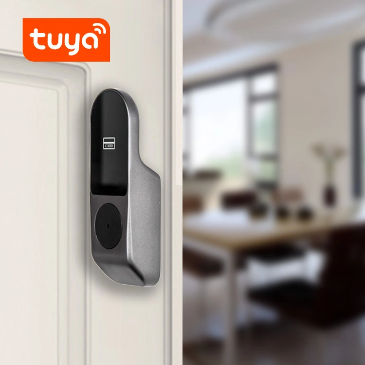 Tuya Smart Lock RFID Card Key Digital Lock with Doorbell Deadbolt Lock for Home Security Free APP