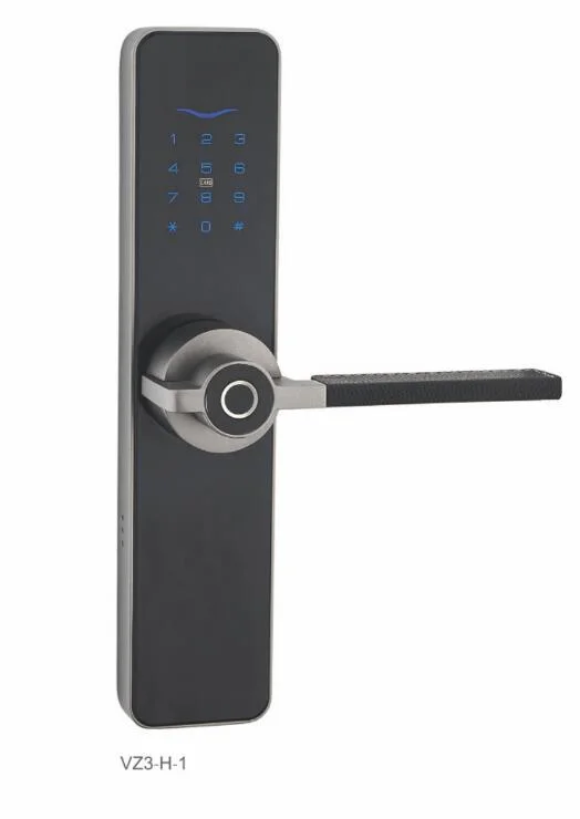 Fingerprint Smart Lock IC Card