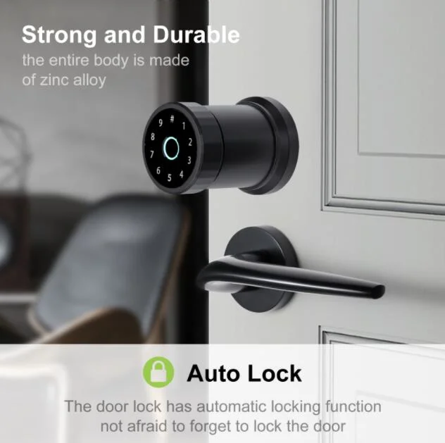 APP Security Home WiFi Smart Electronic Deadbolt Door Lock