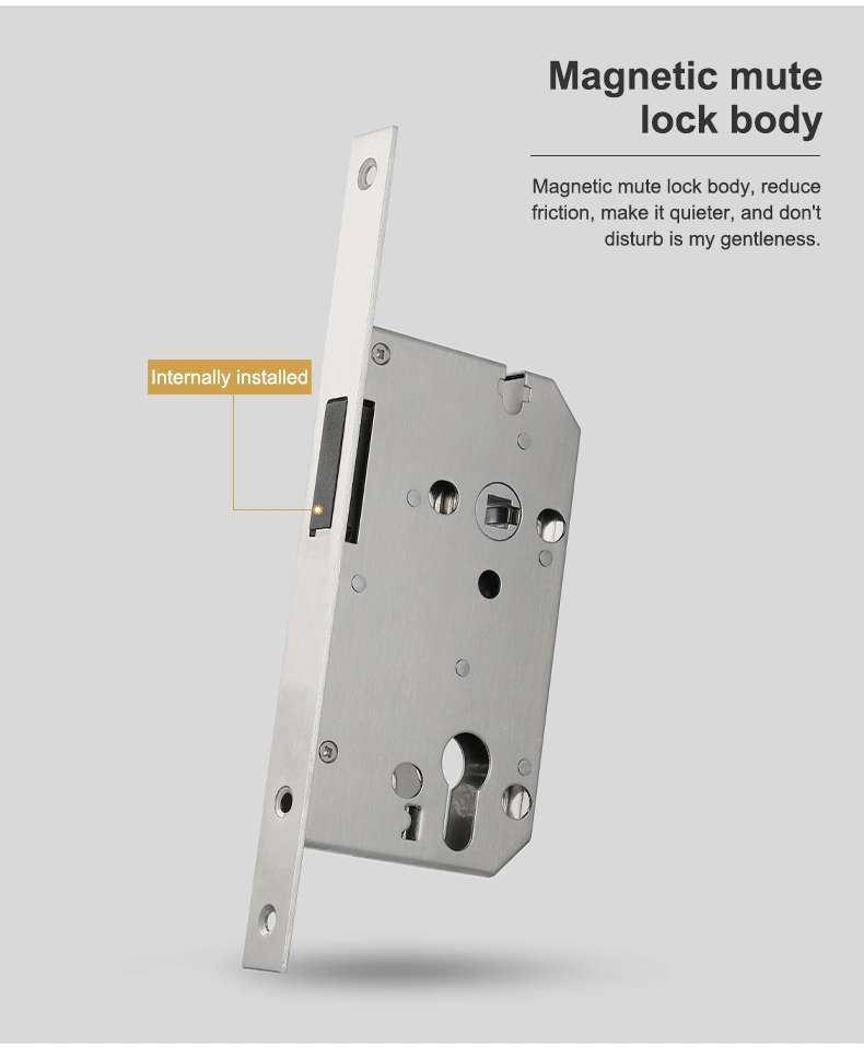 China Manufacturer Furniture Hardware Privacy Security Mortise Door Lock for Wooden Door