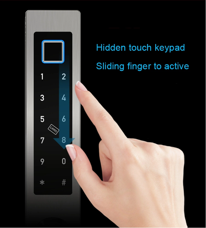 European Slim Electronic Fingerprint Lock with Ttlock APP for Sliding Door