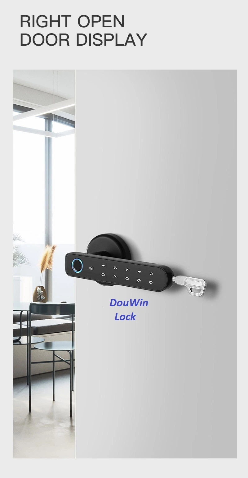 Digital &amp; Biometric Fingerprint Smart Knob Lock for Interior Room