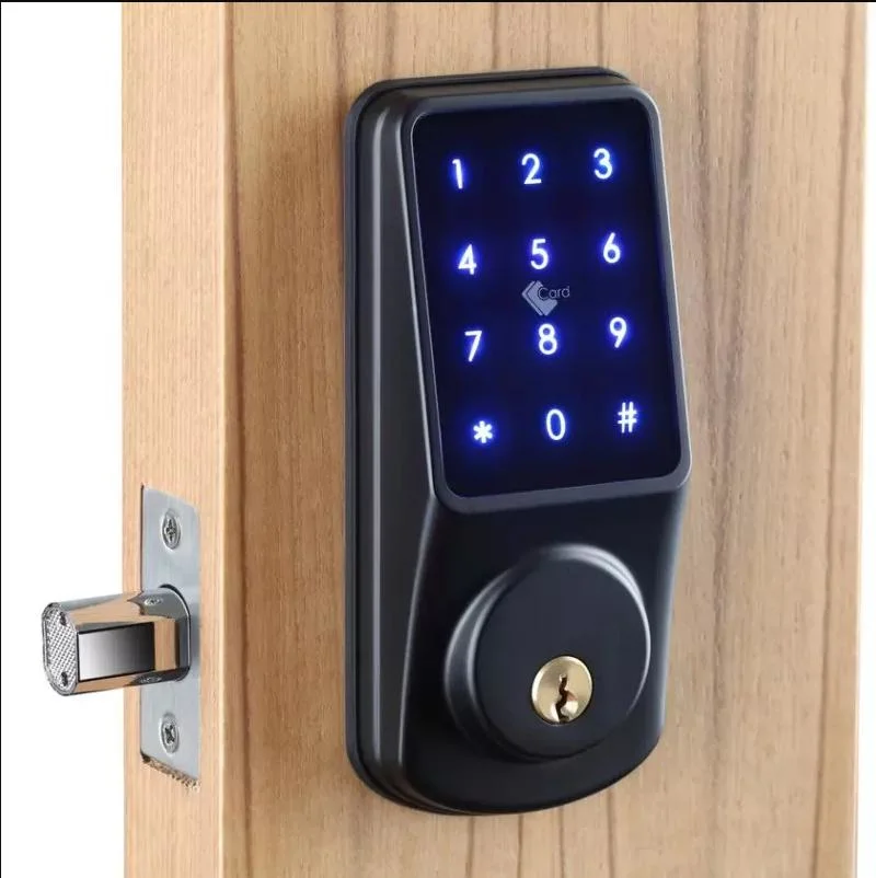 Biometric Lock Ttlock Bluetooth APP Smart Door Lock Fingerprint Passcode Open Smart Lock