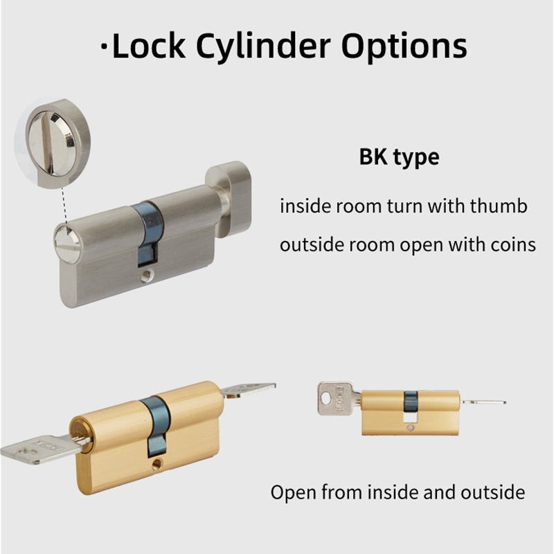 Brass Plate Door Lock Sets Lever Handle for Bright Gold Privacy Interior