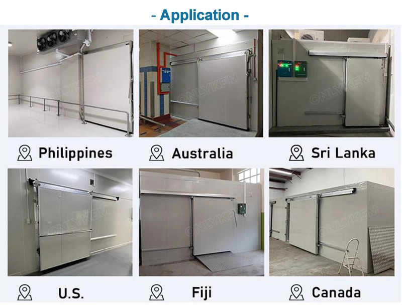 Cold Storage Room Swing Sliding Door Walk in Cooler/Freezer Door