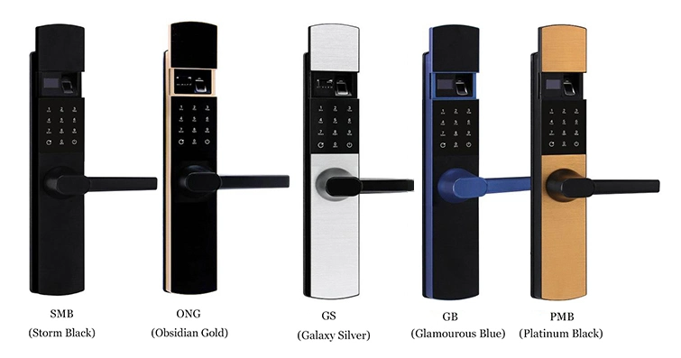 Luxury Combination Fingerprint Electronic Magnetic Door Hardware Smart Lock Handle