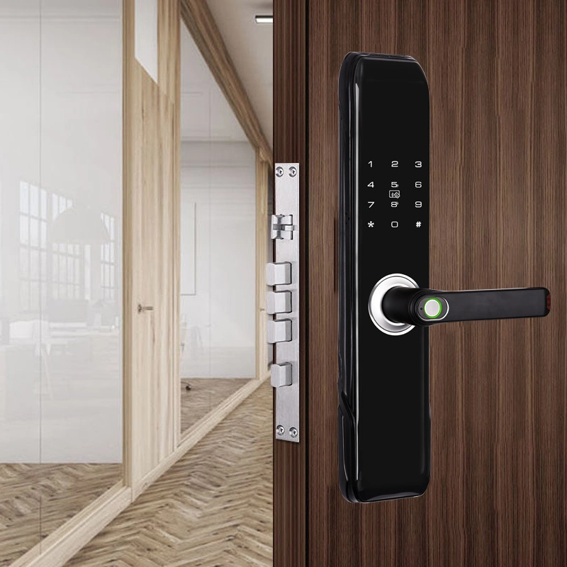 Hardware Handle Password Keyless Entry Code Electronic Fingerprint Smart Door Lock