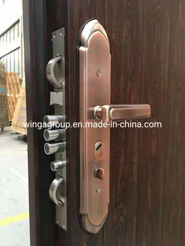 Villa Popular Outside Steel Alloy Security Metal Copper Door W-Stz-11