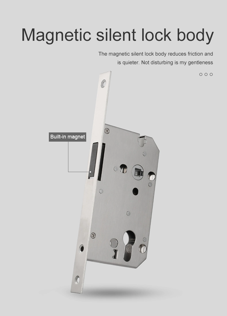 Classic Zinc Alloy American Style Inside Gold Split Set Interior Door Handle with Key Set Silent Lock