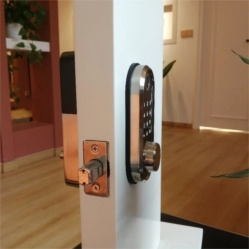 Fingerprint Door Lock with Keypads, Electronic Digital Deadbolt Smart Lock for Front Door