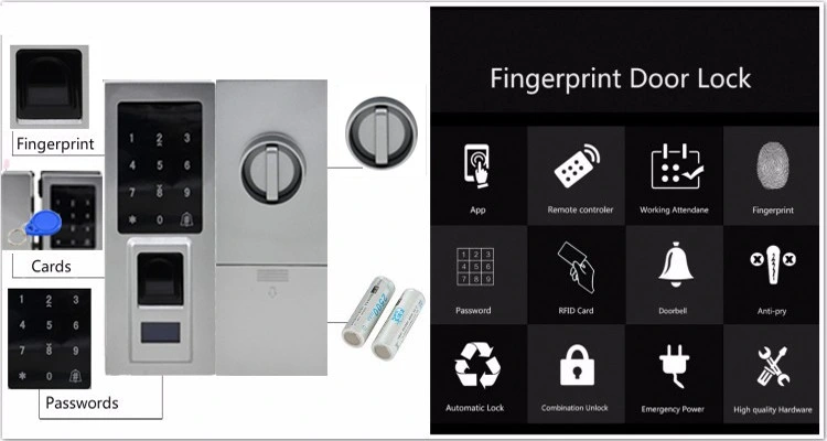 Digital Biometric Glass Door Lock for Double Glass Door