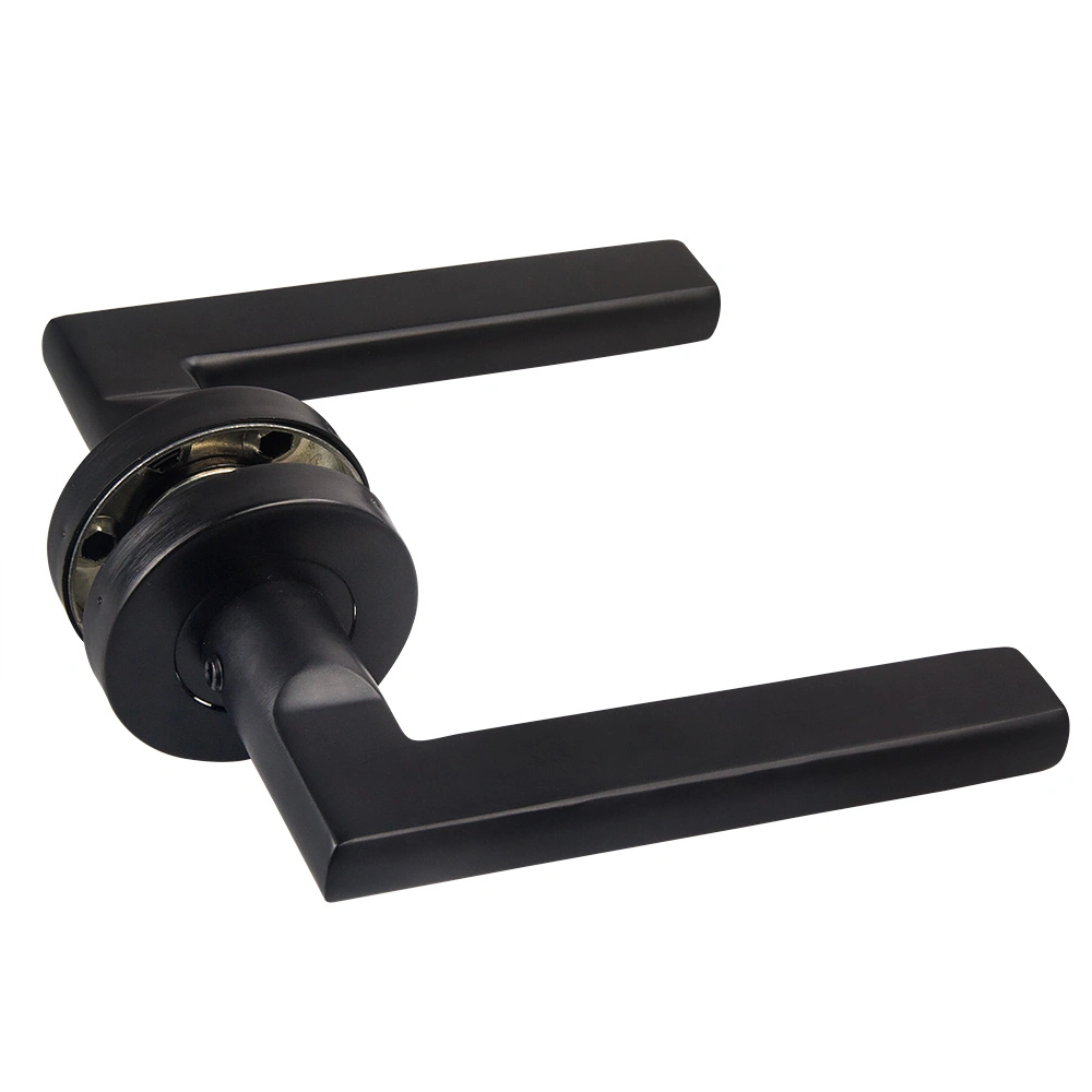 Black Finish Satin Stainless Steel 304 Tubular Entrance Lever Door Handle