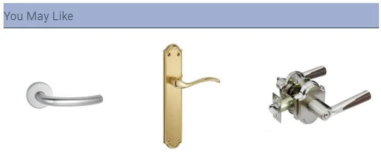 Zinc Alloy Bathroom Swing Door Lock Handle Double Sided Long Plate Type Door Handle