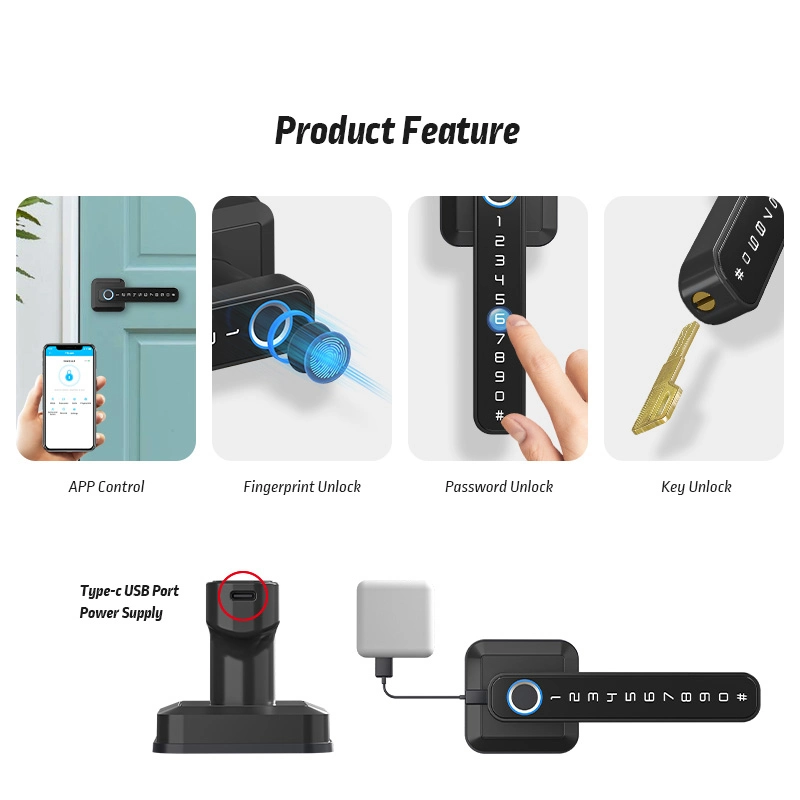 Best Selling Ttlock APP Fingerprint Digital Globe Locks Smart for Wooden Door