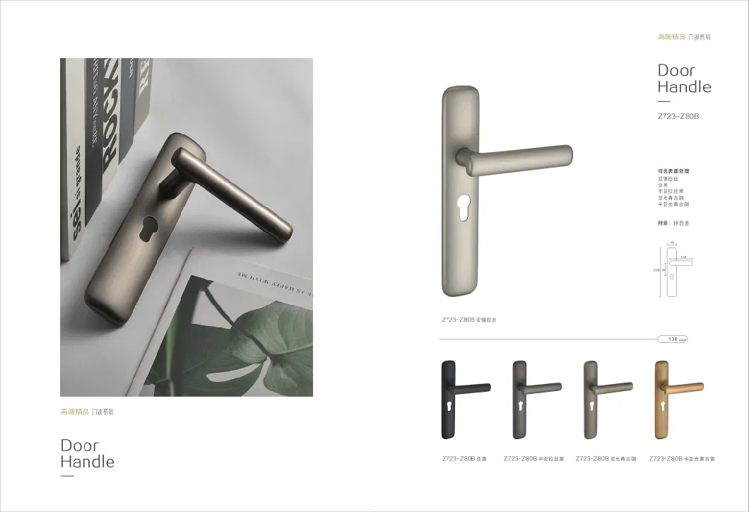 Modern Minimalist Style Door Lock Hardware Rosette Lever Handle