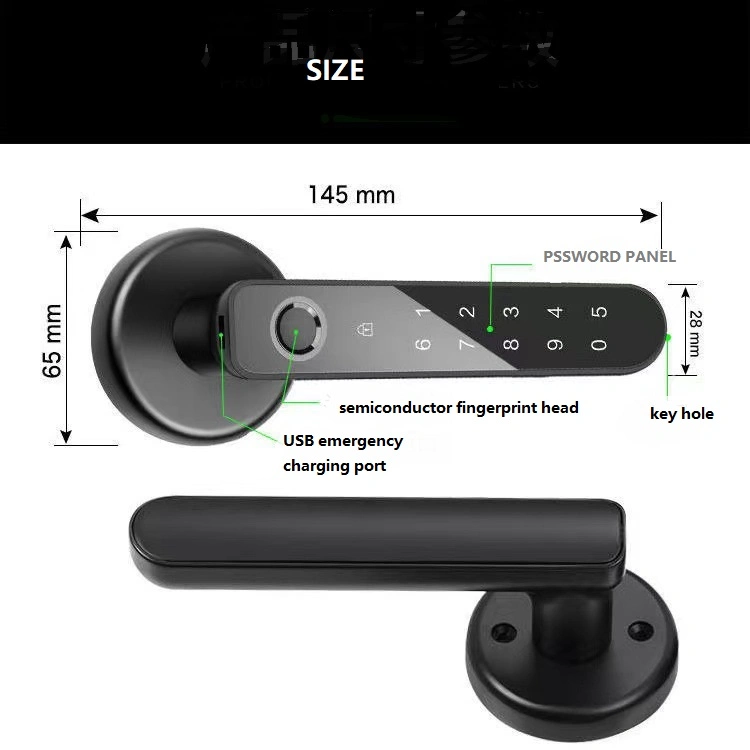 Fingerprint Keyless Entry Door Lock with Handle Smart Biometric Code Wireless Fingerprint Lock