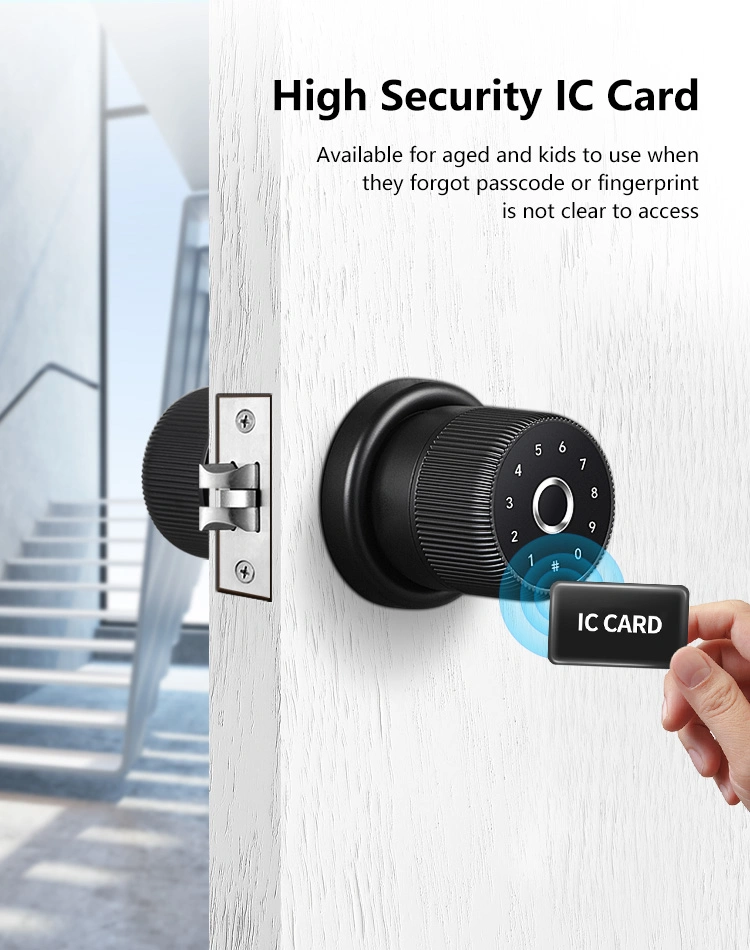 Ttlock APP Electronic Fingerprint Digital Door Knob Locks