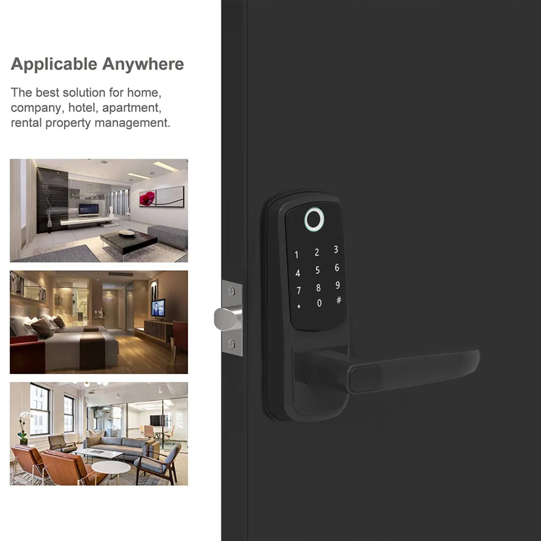 High Security Level Multifunctional WiFi Password Card Smart Lock for Rental Property Management