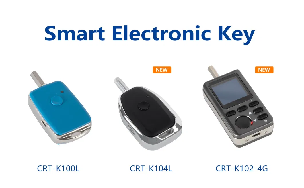 Customized Multi-Level Encryption Smart Lock for Motobike