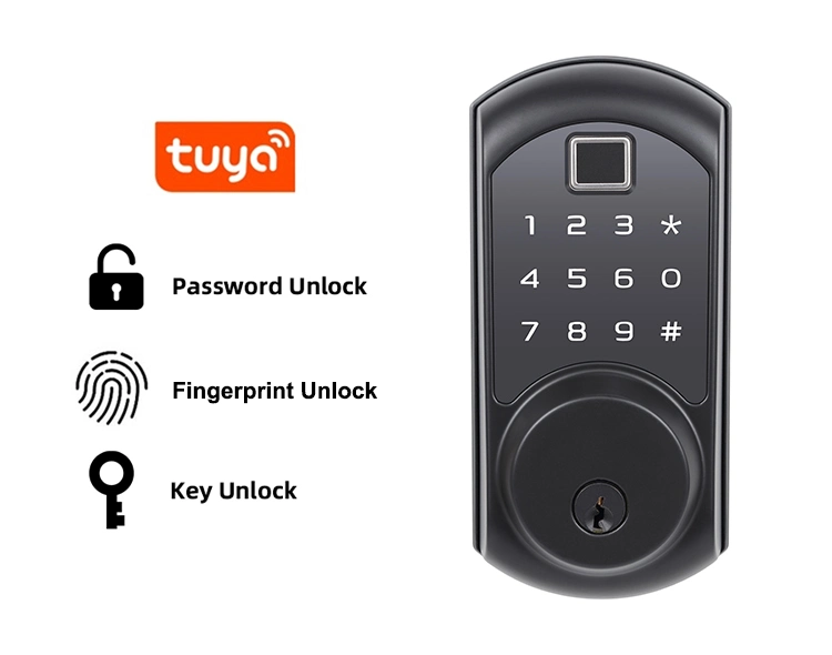 American Standard Keyless Entry Keypad Wireless Digital Password Fingerprint Smart Lock Tuya WiFi